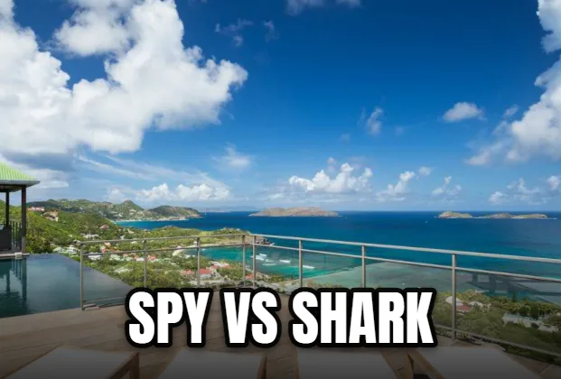 Spy Vs Shark
